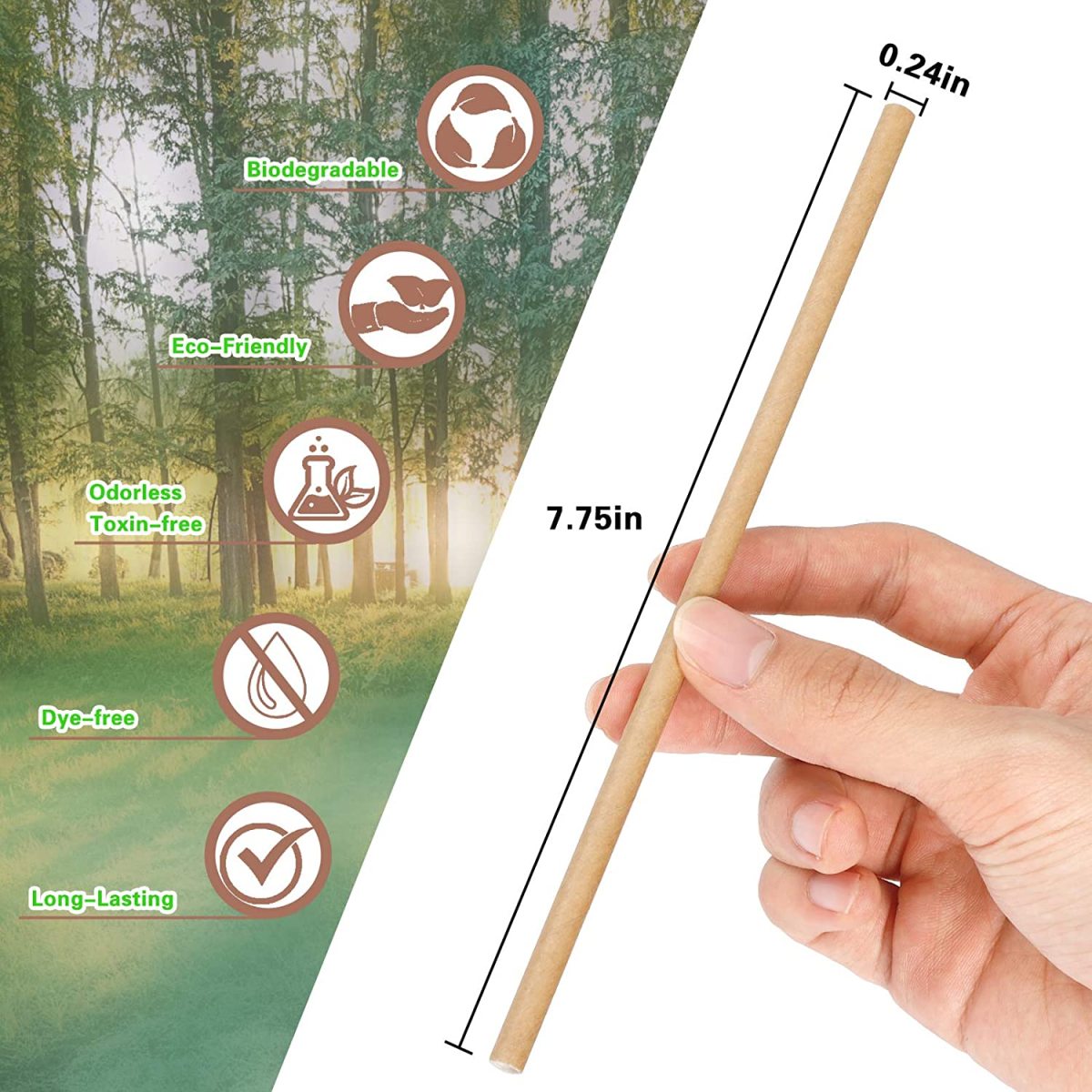 Biodegradable Drinking Straws