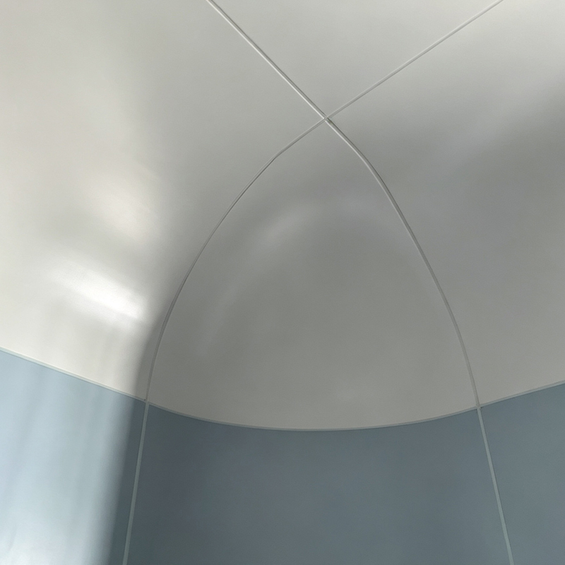 Electrolytic Steel Plate