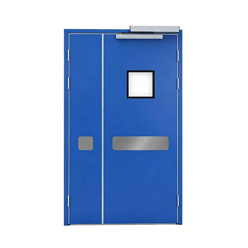 Steel Door