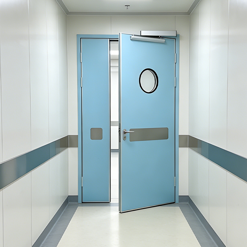 Steel Door
