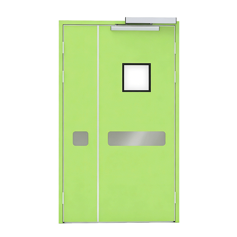 Steel Door
