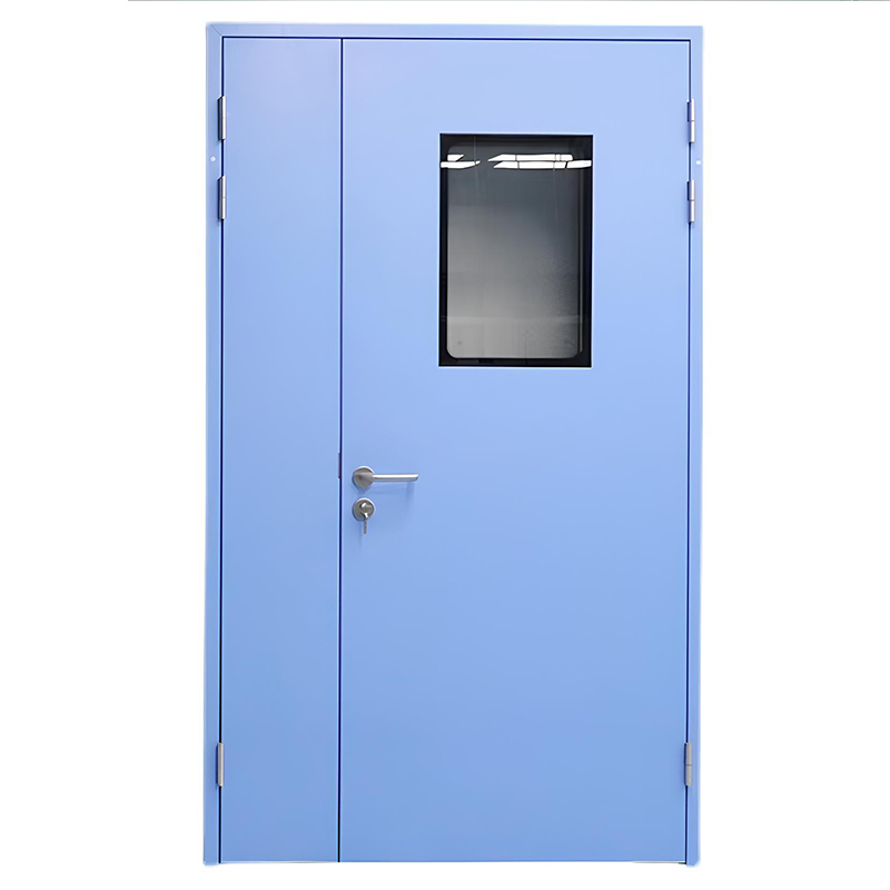 Steel Door