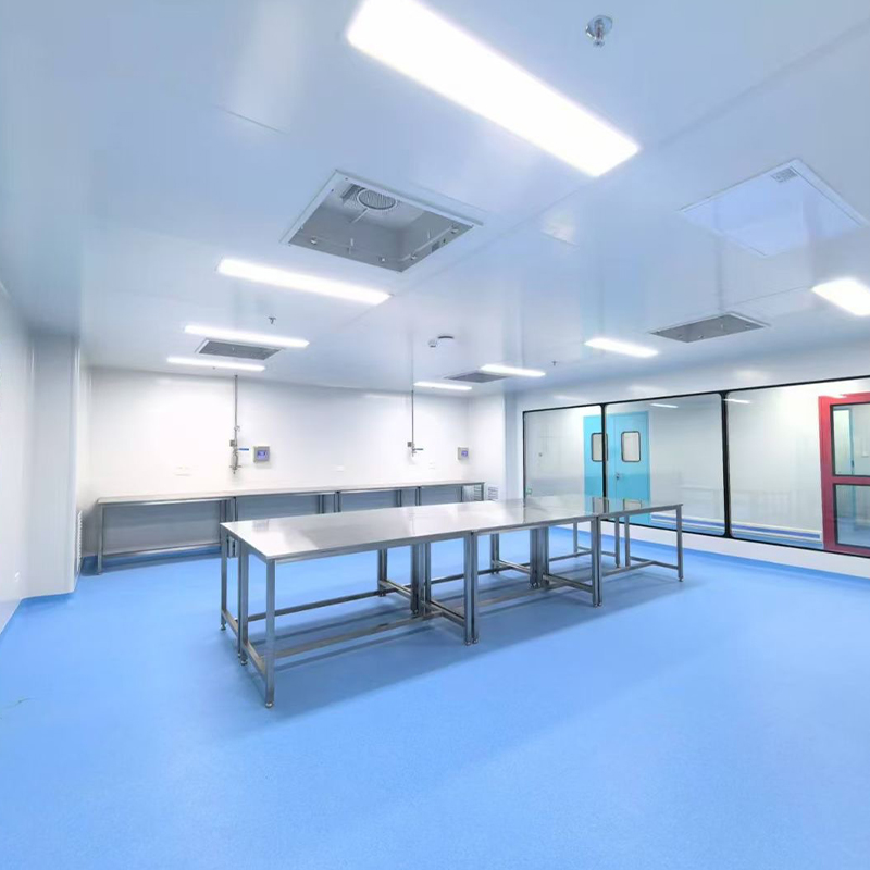 Cleanroom Engineering for Laboratories