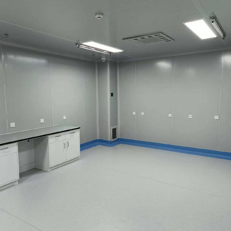 Cleanroom Engineering for Laboratories