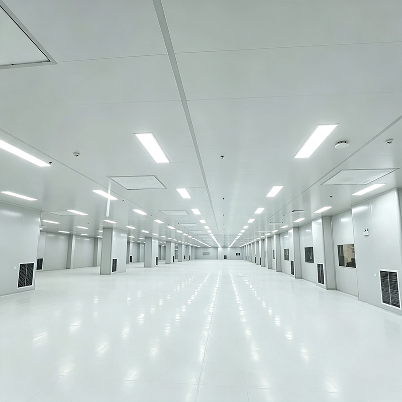 Cleanroom Engineering for Food Processing Plants