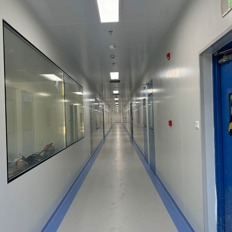 Cleanroom Engineering for Food Processing Plants
