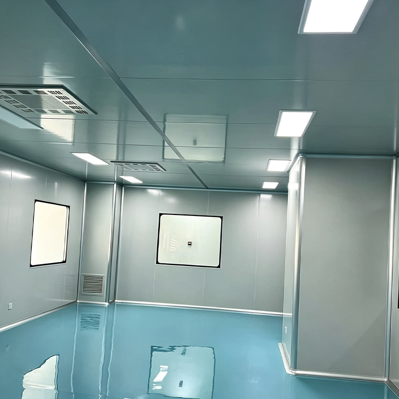 Cleanroom Engineering for Food Processing Plants
