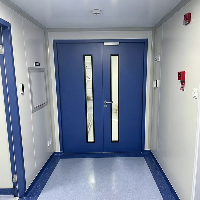 Steel Door