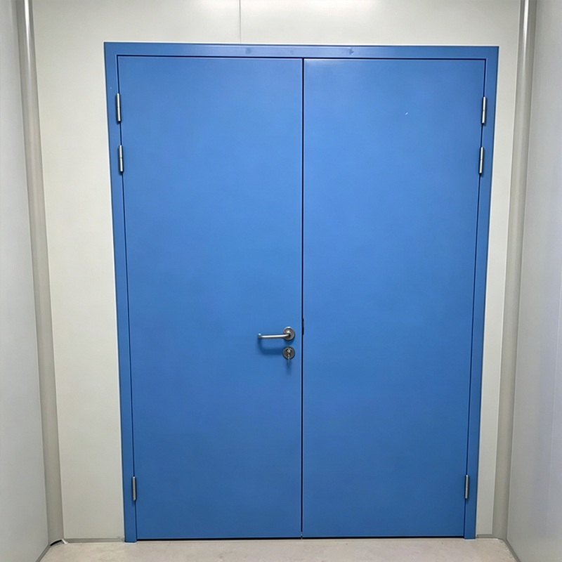 Steel Door