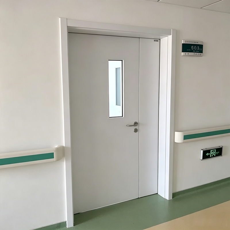 Steel Door