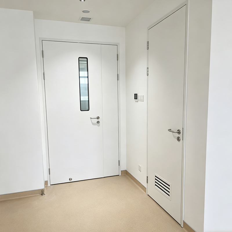 Steel Door