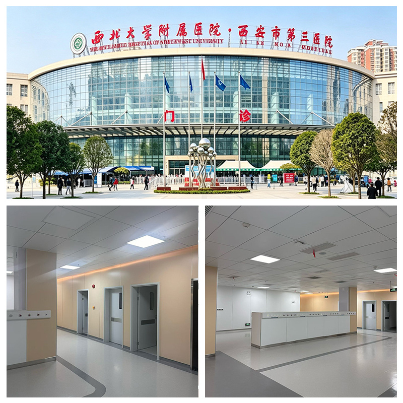 The Third Hospital of Xi'an