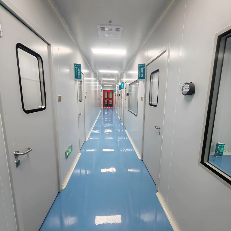 Cleanroom Engineering for Pharmaceutical Plants