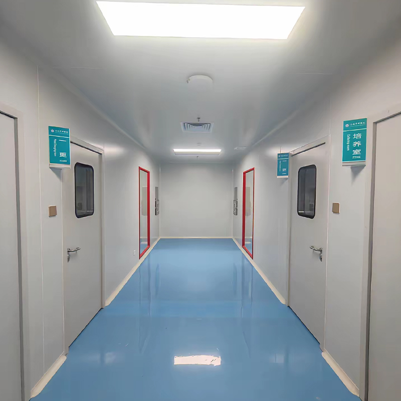 Cleanroom Engineering for Pharmaceutical Plants