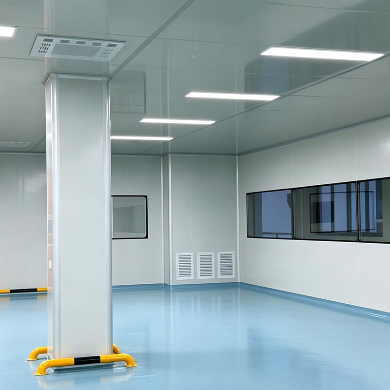 Cleanroom Engineering for Food Processing Plants