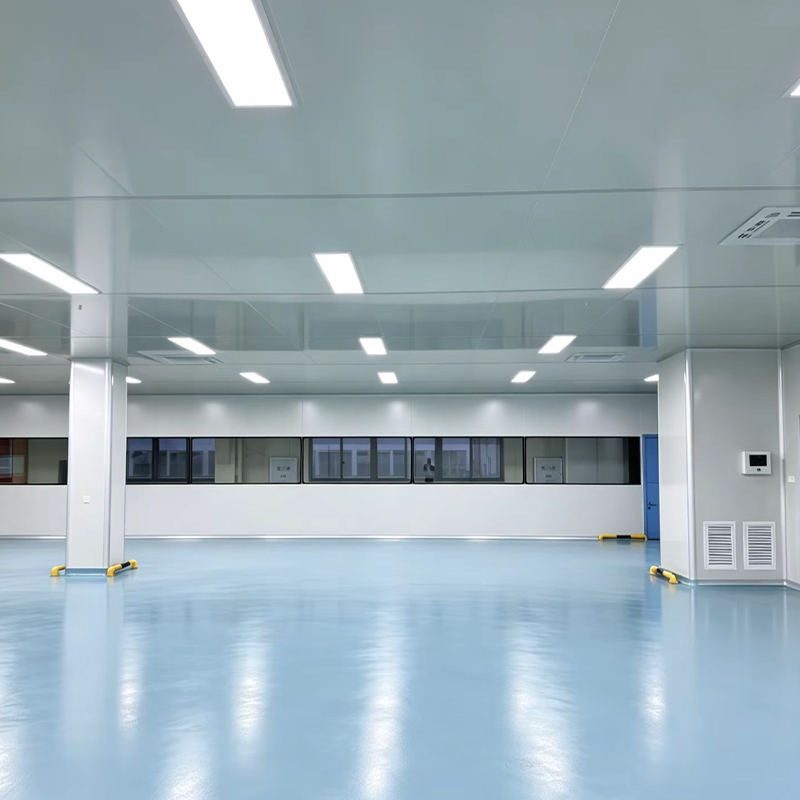 Cleanroom Engineering for Food Processing Plants