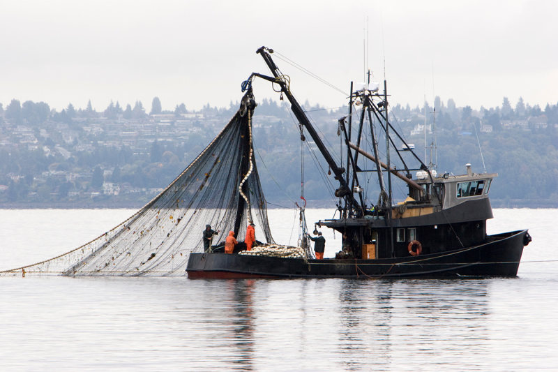 Pesca