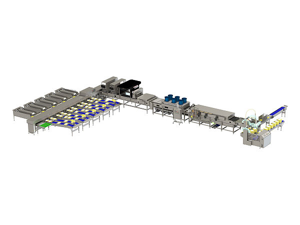 60,000 Egg Grading & Washing Machine