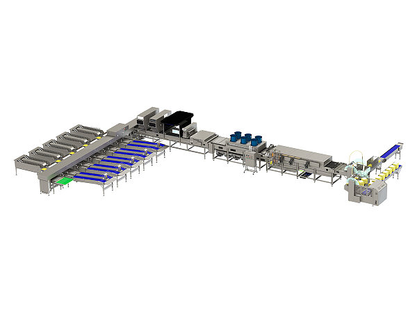 60,000 Egg Grading & Washing Machine