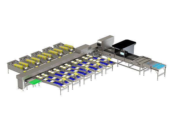 60,000 Egg Grader-Precision static weighing with LED candling, for operations where grading accuracy is the priority