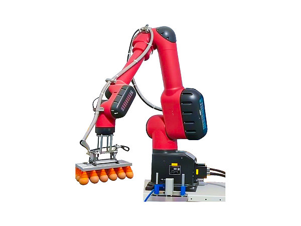 Robotic Egg Crate Loading Machine