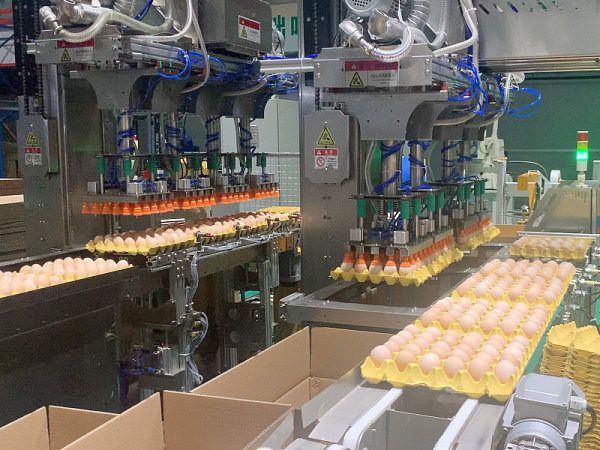 Grab Type Egg Case Packing Machine