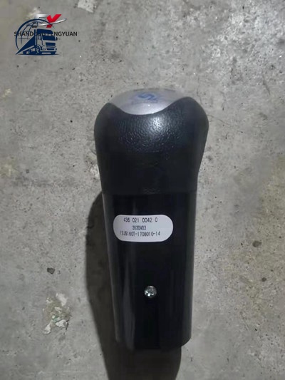 WG9700240015Gear shift knob