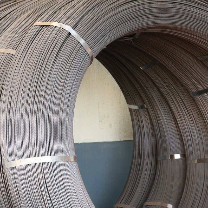 SAE 1008 Steel Wire Rod