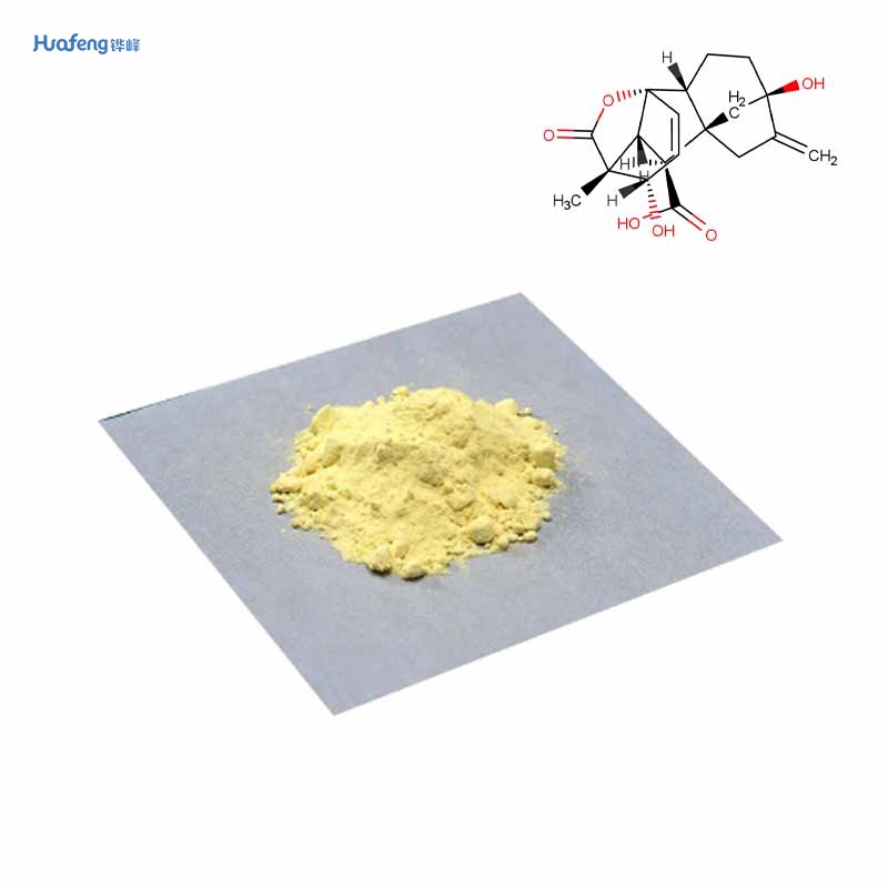 Extracto de Ginkgo biloba CAS#90045-36-6