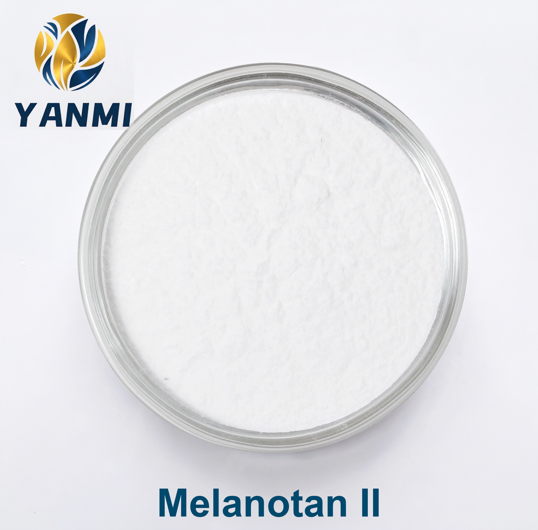 MT II-(1)