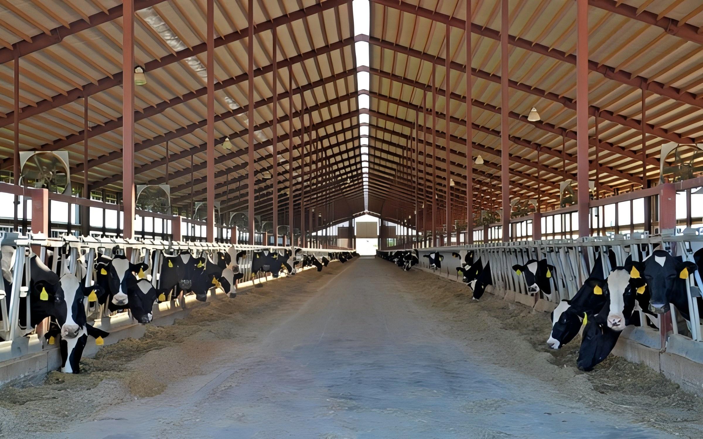 Prefab Steel Livestock Barns for Cattle, Sheep & Pigs-Strong, Ventilated & Easy to Assemble