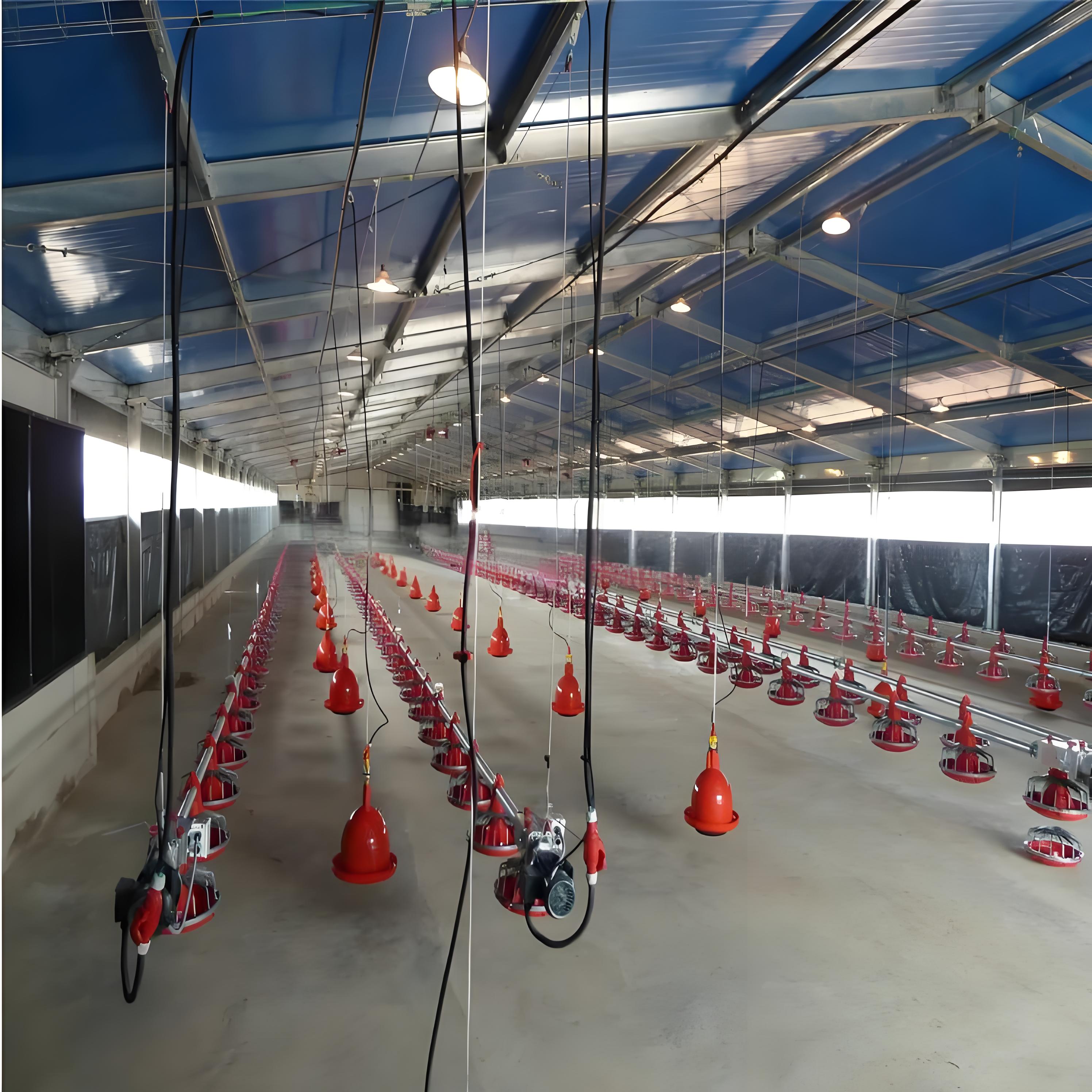 Chicken poultry Egg-laying chicken breeding factory building