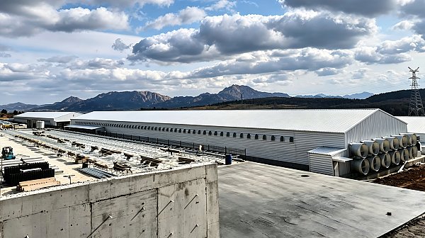 Large-Scale Poultry Hatchery Complex
