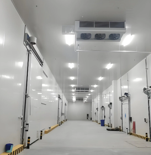 Multi-Storey Cold Storage