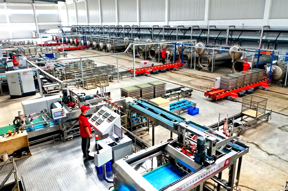 Steel Structure Meat Processing Plant
