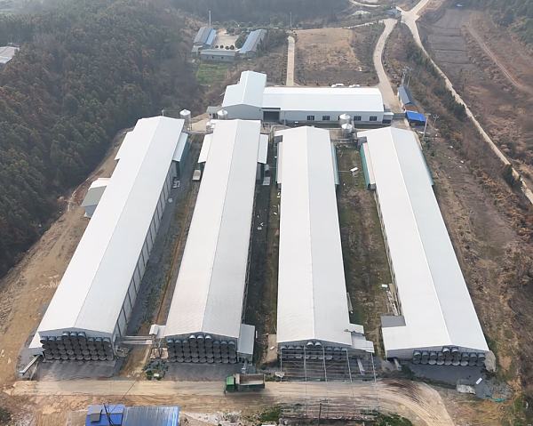 Industrial Steel Poultry House