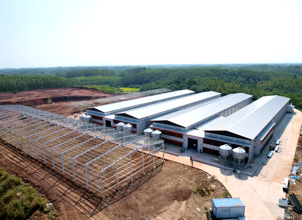 Industrial Steel Poultry House
