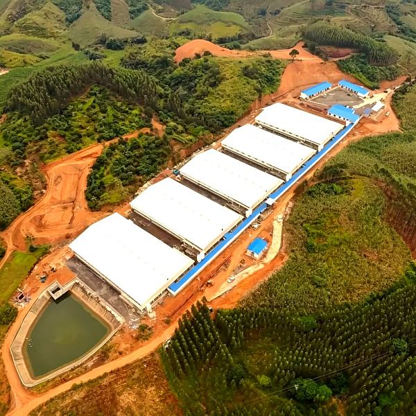 Steel Structure Pig Farm Building