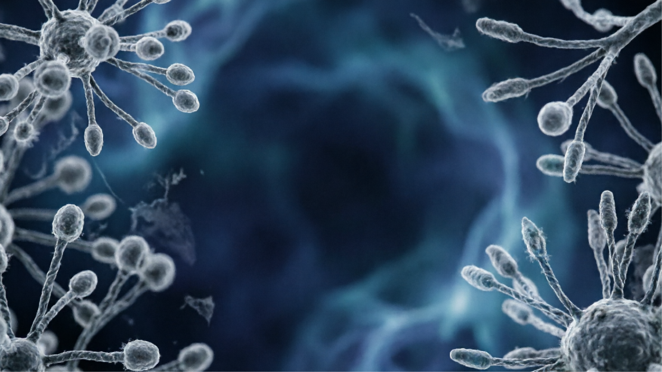 What Is an Antimicrobial Agent? Types, Applications, and How to Choose the Right Solution