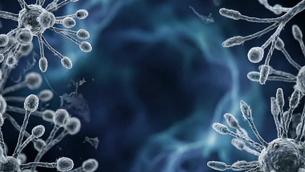 What Is an Antimicrobial Agent? Types, Applications, and How to Choose the Right Solution