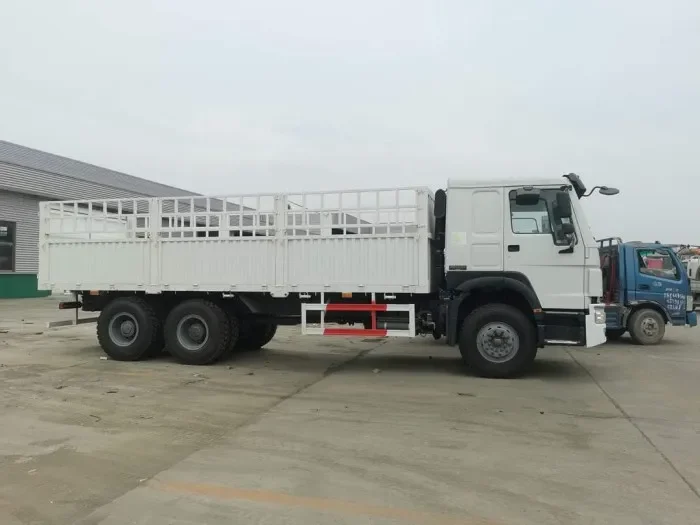 Sinotruk Truck Price 6x4 371HP Howo Cargo Truck
