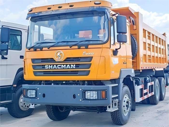 2044-202502271704260668 shacman dump truck