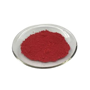 Grape Seed Extract