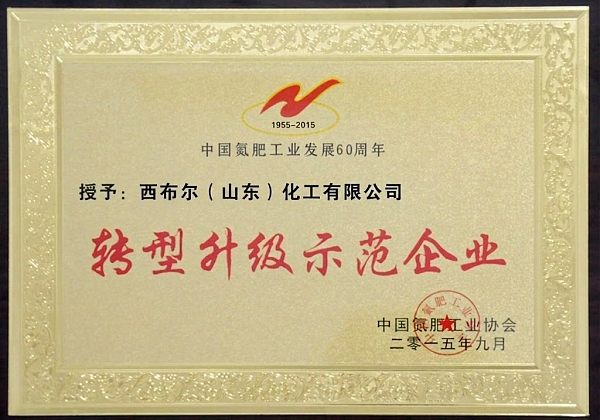 Certificate (9)