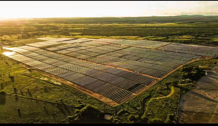 80 MW Ground-Mounted Solar Power Plant Project in Pernambuco, Brazil