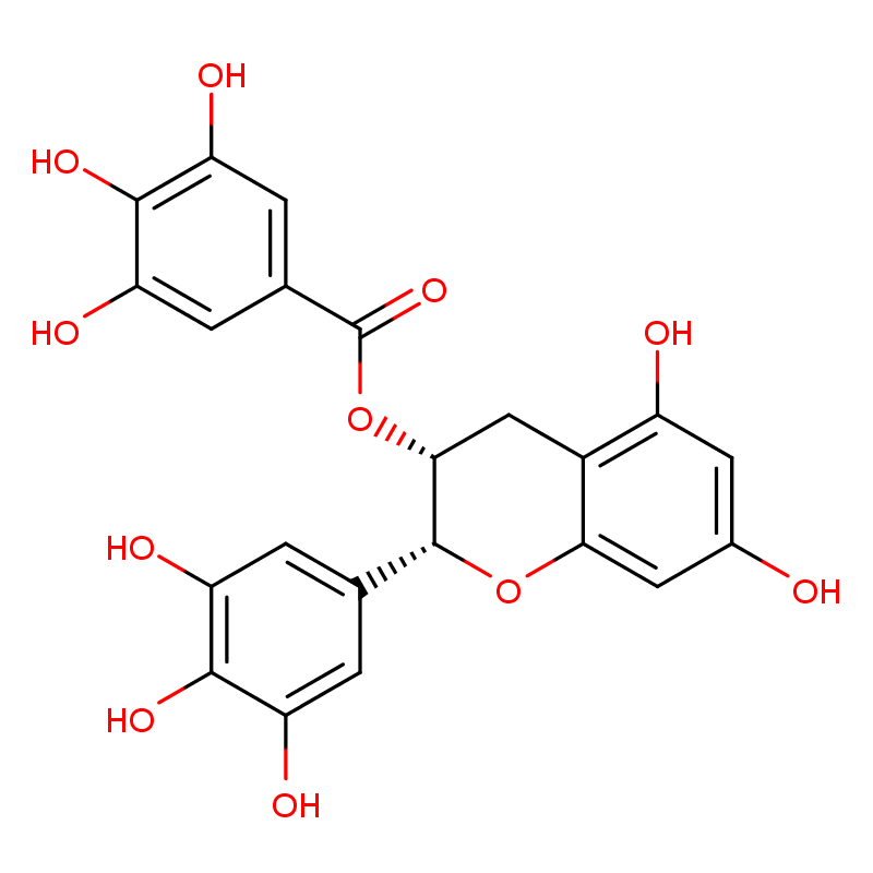 (-)-Epigallocatechin gallate