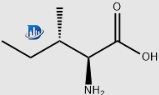 L-Isoleucina