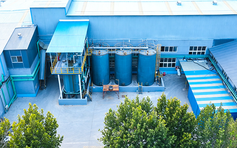 Company Environment