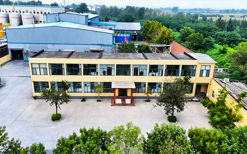 Company Environment