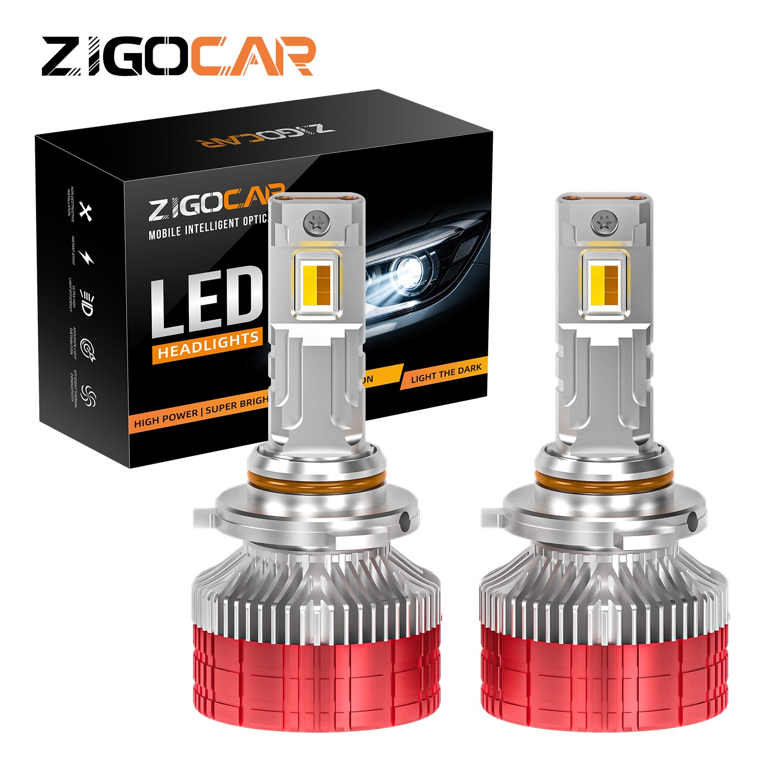 Z19